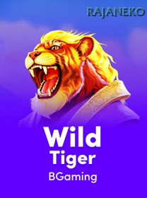 Wild Tiger banner